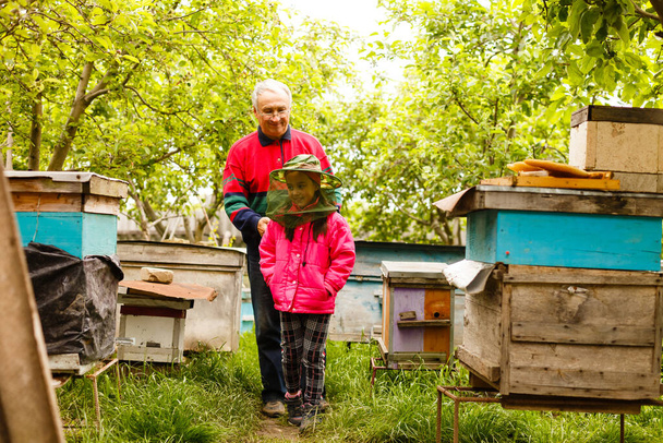 Un apicultor experimentado transfiere el conocimiento de la apicultura a un apicultor pequeño. Concepto de transferencia de experiencia - Foto, imagen