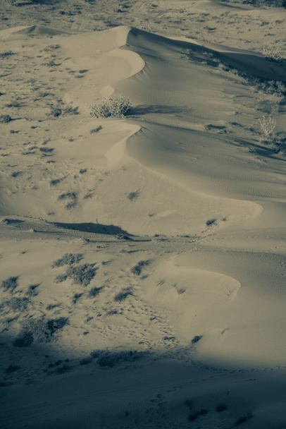 Retrato blanco y negro de dunas de arena en el desierto. Emiratos Árabes Unidos o Sahara Concepto de aislamiento del desierto. - Foto, Imagen