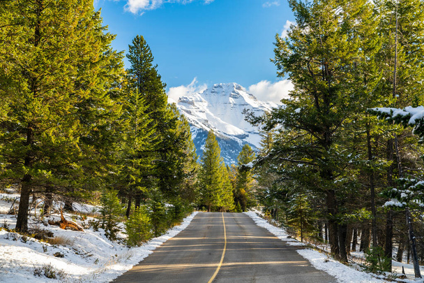 Сільська дорога в лісі в зимовий сонячний день вранці. Гора Жируар на задньому плані. Banff National Park, Canadian Rockies, Alberta, Canada. - Фото, зображення
