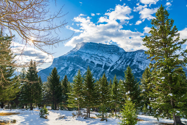 バンフ国立公園の美しい風景です。雪に覆われた冬の晴れた日に雪の森と山の謎。カナダのロッキー山脈,アルバータ州,カナダ. - 写真・画像