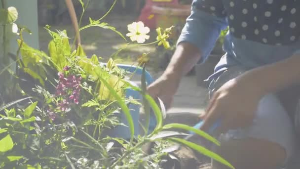 Азиатская женщина ухаживает за почвой и убирает за растениями в горшках в саду под утренним солнцем. Домашняя утка. Садоводство. Хобби и досуг. - Кадры, видео