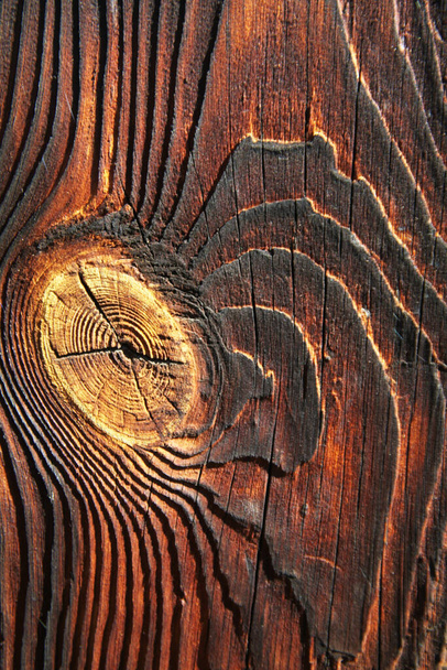 old wood texture with natural pattern - Photo, image