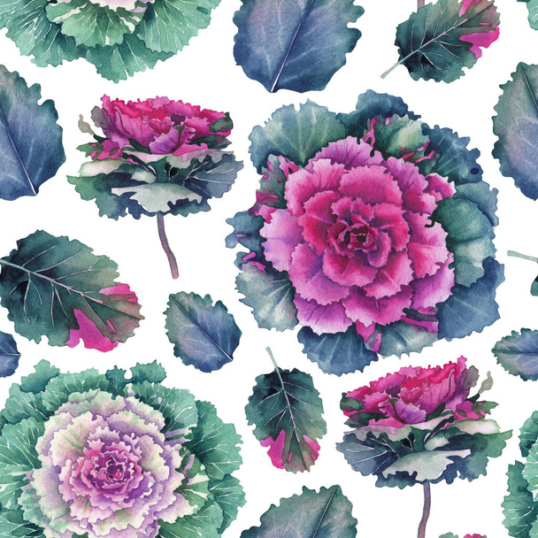 Watercolor pattern of flowering Kale flowers and leaves. - Foto, Bild