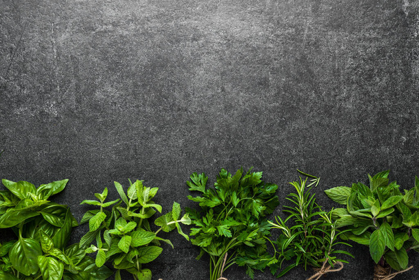 Fresh garden herbs collection on dark slate - Фото, зображення