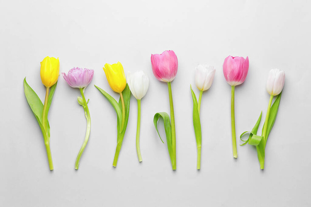 Many beautiful tulips on light background - Foto, imagen