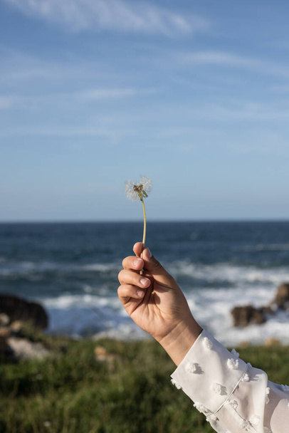 A vertical shot of a girl holding a dandelion with a sea background - perfect for wallpaper - Фото, изображение