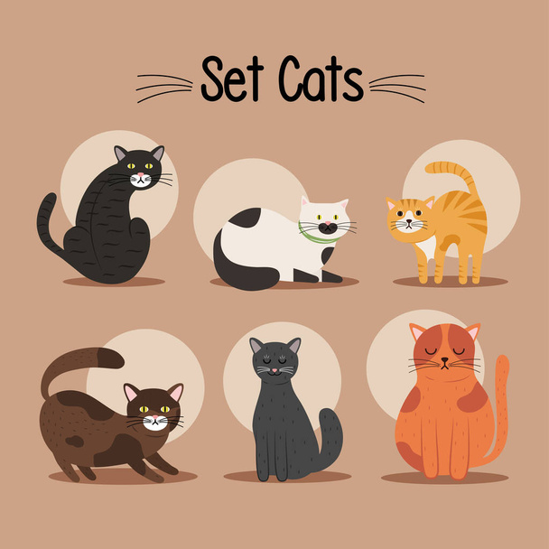 svazek šesti koček různé barvy maskoty a písmo - Vektor, obrázek