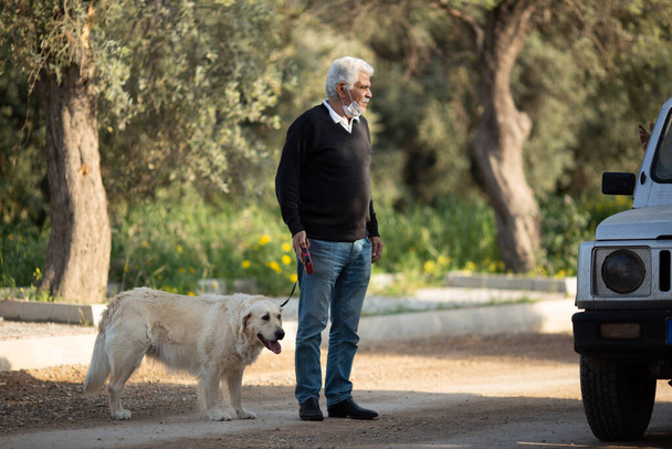 senior man in mask walking on the street in Cyprus with dog golden retriever and talk to man who stop while driving car.Coronavirus. Short walks during covid-19 pandemic. Quarantine with dog concept - Foto, afbeelding