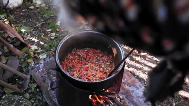 Het koken van verbrijzelde groenten bij houtvuur in de tuin traditioneel voedsel - Video