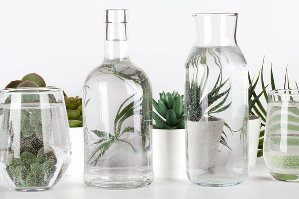 Collection of various plants in pots distorted through water in glasses on white background.Home decor, eco friendly, relax, gardening concept - Foto, immagini