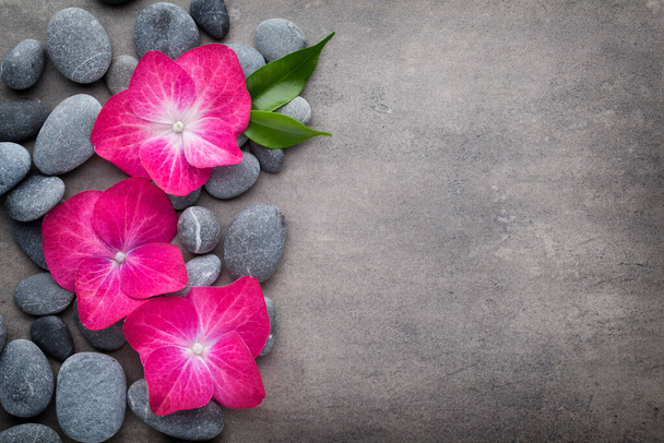 Spa stones and flowers, on grey background. - Foto, afbeelding