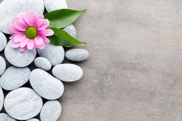 Spa stone and flowers on grey background. - 写真・画像
