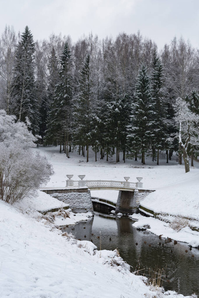 Pont ancien en fonte sur la rivière Slavyanka. Le paysage hivernal. Pavlovsk Palace Park. Saint-Pétersbourg, Russie - Photo, image