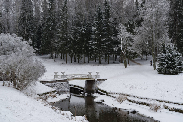 Slavyanka nehri üzerindeki klasik "Dökme Demir" köprüsü. Kış manzarası. Pavlovsk Sarayı Parkı. Saint-Petersburg, Rusya - Fotoğraf, Görsel