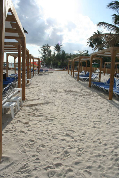 шезлонги на тропічному піщаному пляжі
 - Фото, зображення