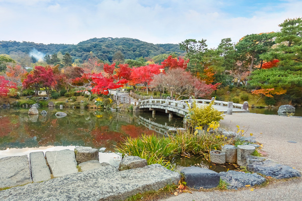 Maruyama Koen (Maruyama Park) in autumn, in Kyoto - Photo, Image