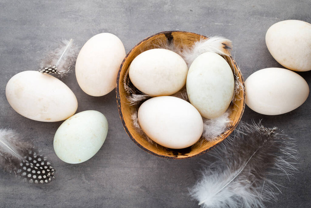  Duck eggs on a cage gray background. - 写真・画像