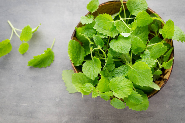 Fresh raw mint leaves on gray background. - Foto, afbeelding