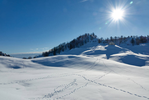 zimní krajina na náhorní plošině Campogrosso; Vicenza; Itálie; se stopami na zasněžené stezce, která vede k Rifugio Campogrosso; za slunečného dne - Fotografie, Obrázek