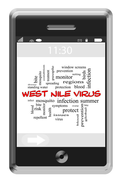Concepto de nube de palabras de virus del Nilo Occidental en el teléfono con pantalla táctil
 - Foto, imagen