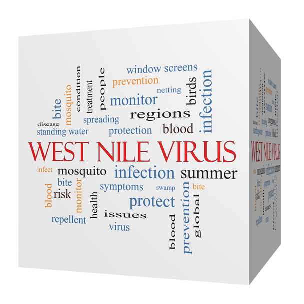 West nile virus 3D-kubus word cloud concept - Foto, afbeelding