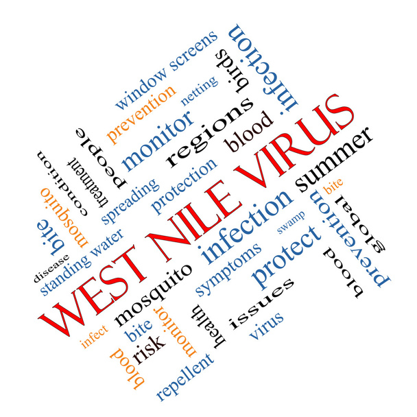 West-Nil-Virus Wort Wolke Konzept abgewinkelt - Foto, Bild