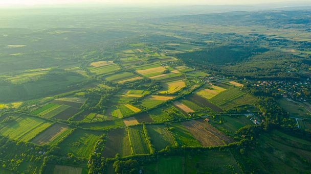 Above view over green haze hilly landscape, several cultivated, arable plots, among forest trees in early dawn. - Photo, Image