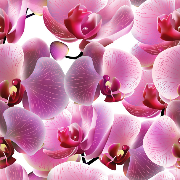 Orchid seamless pattern. Vector, EPS10 - Vektori, kuva