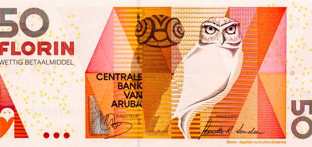 Gravende Uil, Portret van Aruba 50 Florin 2012 Bankbiljetten. - Foto, afbeelding
