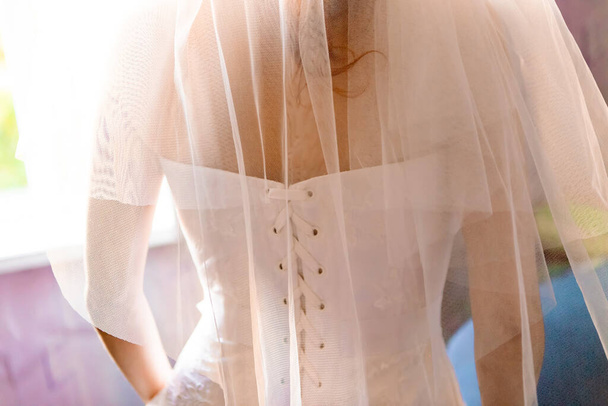 ベールを着た若い花嫁、背中からの眺め - 写真・画像