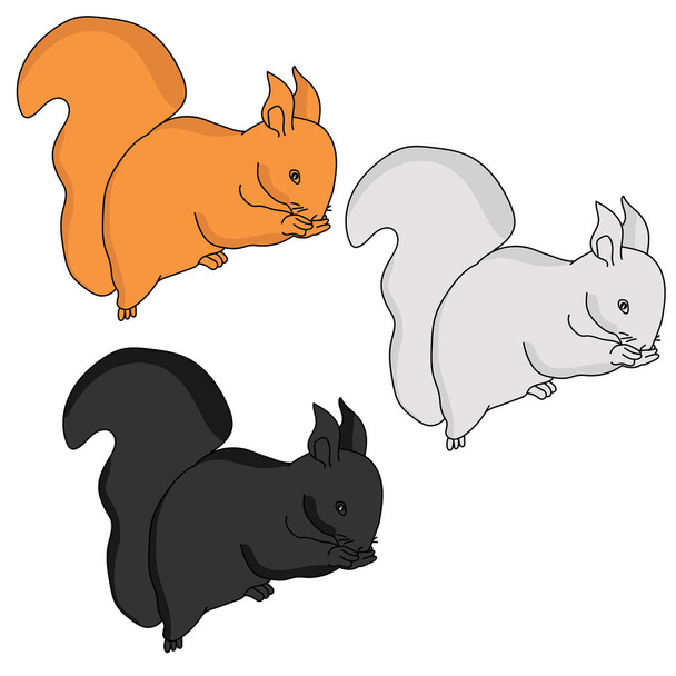 Trois écureuils rouges, blancs et noirs, un animal avec une illustration vectorielle de queue duveteuse - Vecteur, image
