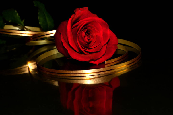 Студия красная роза с золотой лентой на черном фоне. Копировальное пространство. День святого Валентина фон - Фото, изображение