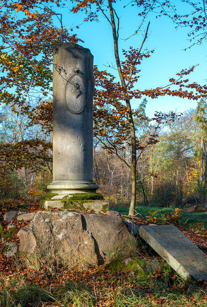 Історична колона в лісі біля замку Рейнсберг, Бранденбург, Геркулес - Фото, зображення