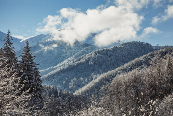Piękny zimowy krajobraz z pokrytymi śniegiem drzewami w górach Europy - Zdjęcie, obraz