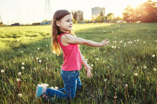 可愛いかわいい白人の女の子が畑でタンポポを摘んでいます。草原の草の上に座っている子供。屋外楽しい夏の季節の子供の活動。遊びや楽しみを持っている子供。幸せな子供時代の生活. - 写真・画像