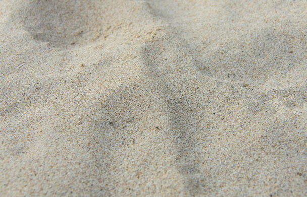 背景のビーチの砂砂丘 - 写真・画像