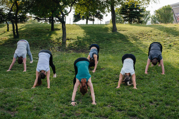 A group of people do yoga in the Park at sunset. Healthy lifestyle, meditation and Wellness - Foto, Imagen