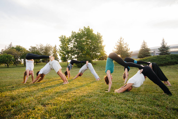 A group of people do yoga in the Park at sunset. Healthy lifestyle, meditation and Wellness - Фото, изображение