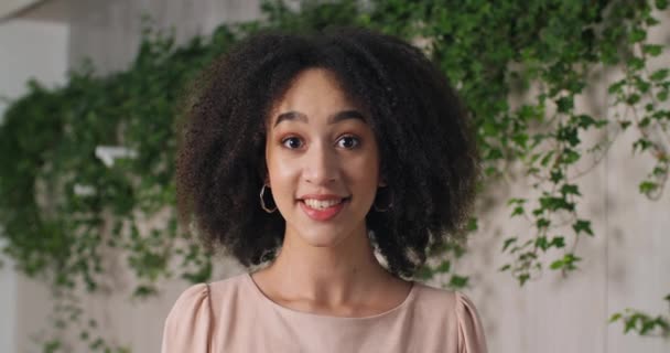 Portret pięknej młodej czarnej dziewczyny Afryki amerykańskiej nastolatki z kręconą fryzurą z doskonałym makijażem i ciemną skórą patrząc na aparat uśmiechnięty pulchny szczery, kobieta szczęśliwy twarz zbliżenie widok - Materiał filmowy, wideo