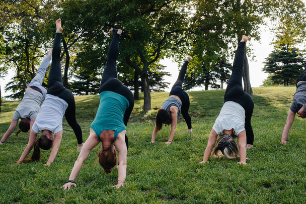 A group of people do yoga in the Park at sunset. Healthy lifestyle, meditation and Wellness - Foto, Imagen
