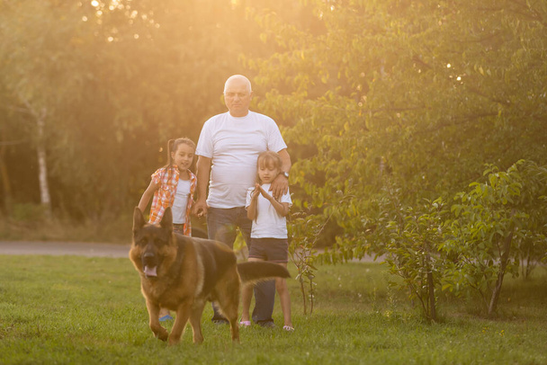 Дедушка и внучки выгуливают собаку - Фото, изображение