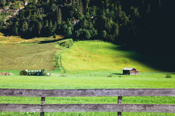 A lonely house in a green meadow - 写真・画像