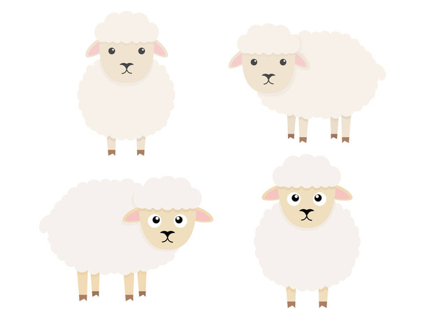 Conjunto de caracteres de ovelhas bonito. Coleção de animais de fazenda dos desenhos animados. Ilsutração vetorial isolada em branco - Vetor, Imagem