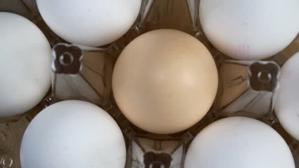 Os ovos de galinha crus frescos giram em círculo em caixa de ovo de plástico transparente na fazenda ou no mercado. Um tiro em câmara lenta. Vista superior, deitado plano, comida de cima para baixo. Macro. Close-up. - Filmagem, Vídeo