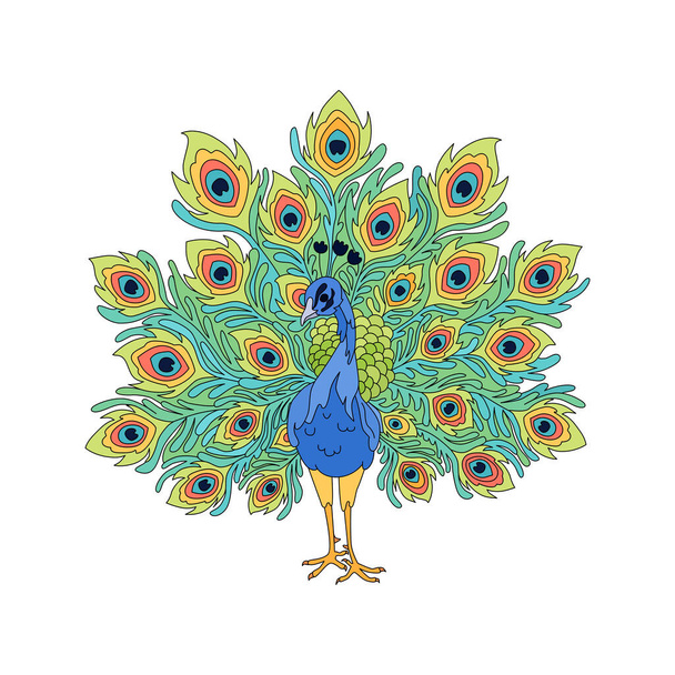 Εικονογράφηση διανύσματος Peacock - Διάνυσμα, εικόνα
