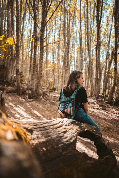 Femme méconnaissable avec sac à dos coloré reposant sur un arbre regardant la forêt - Photo, image