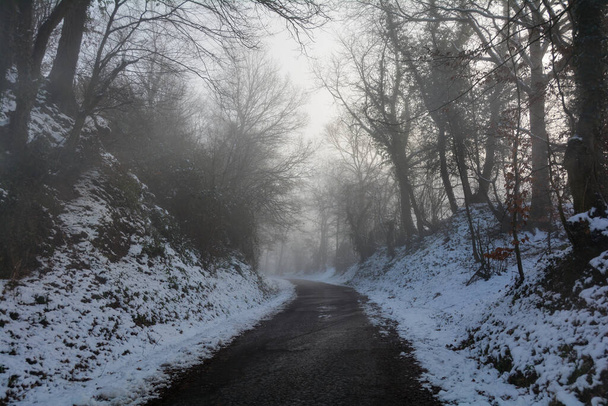 Een eenzame weg in de winter, tussen bomen met sneeuw op een mistige ochtend - Foto, afbeelding