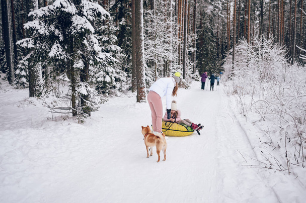 Szczęśliwa matka i mała słodka dziewczyna w różowej ciepłej bieliźnie spacerując o zabawy przejażdżki nadmuchiwane rury śnieżnej z czerwonym shiba inu pies w śniegu biały zimowy las na zewnątrz. Rodzinne zajęcia sportowe - Zdjęcie, obraz