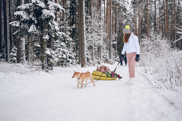 Boldog anya és kis aranyos lány rózsaszín meleg fehérnemű séta szórakozás túrák felfújható hócső piros shiba inu kutya havas fehér hideg téli erdő szabadban. Családi sporttevékenységek - Fotó, kép