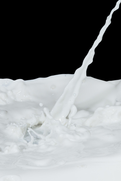 Salpicadura de leche - Foto, imagen